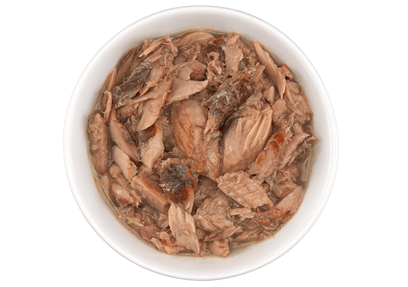 Tiki Cat - Ahi Tuna & Mackerel for Cats